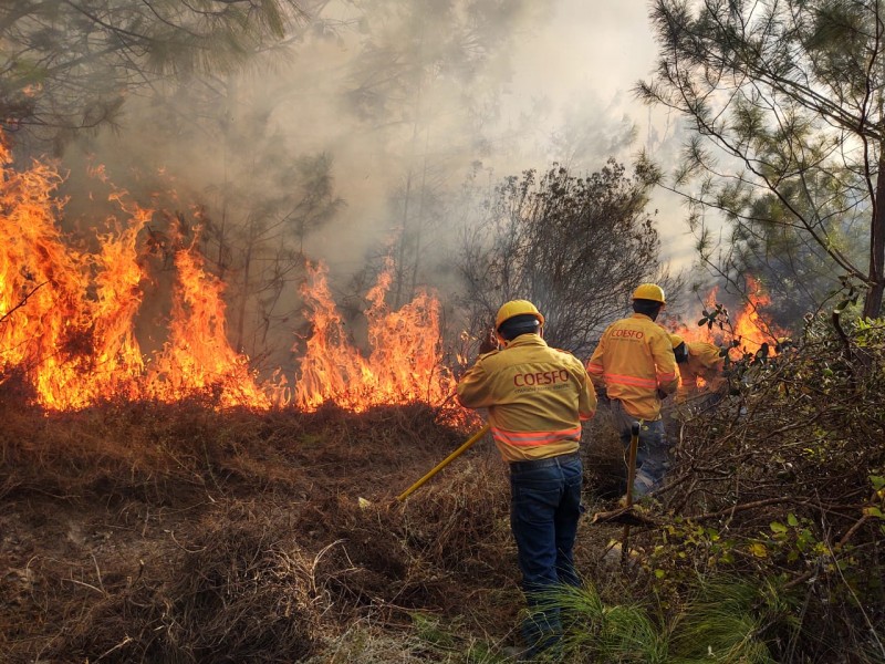 6 incendios forestales activos en Oaxaca