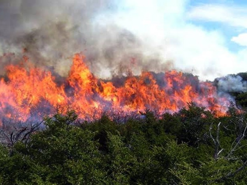 6 incendios forestales en Querétaro