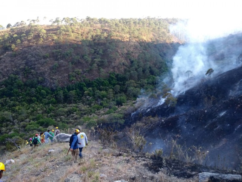 61 hectáreas fueron afectadas por incendio