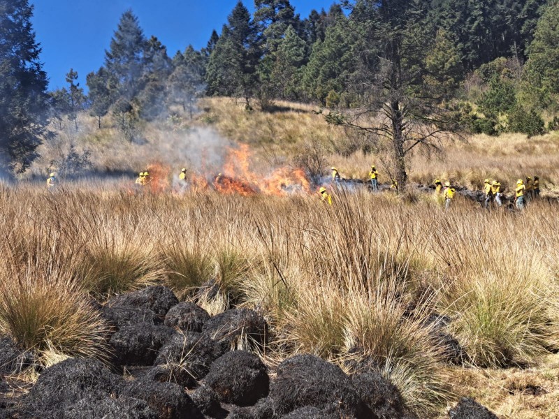 61 incendios forestales en lo que va del año Edoméx