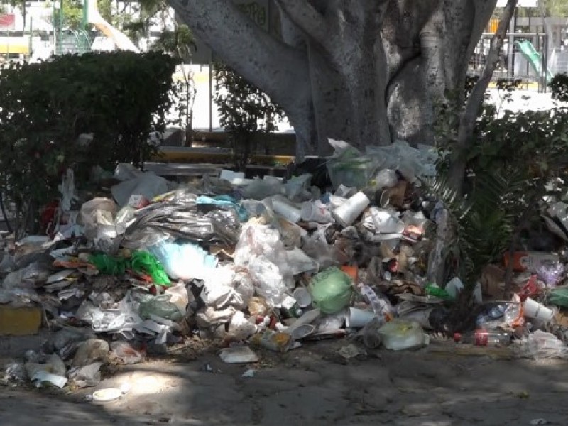 65% de parques con acumulación de basura, acompañado de indigencia