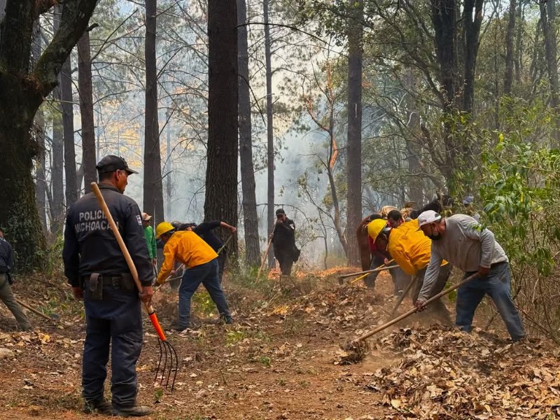65 hectáreas de pinos jóvenes consumidos por incendio en santuario
