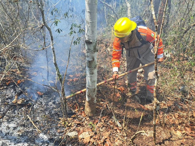 7 incendios activos en Chiapas consumen 5 mil hectáreas forestales