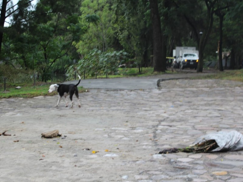 70 casas afectadas por lluvia en El Deán