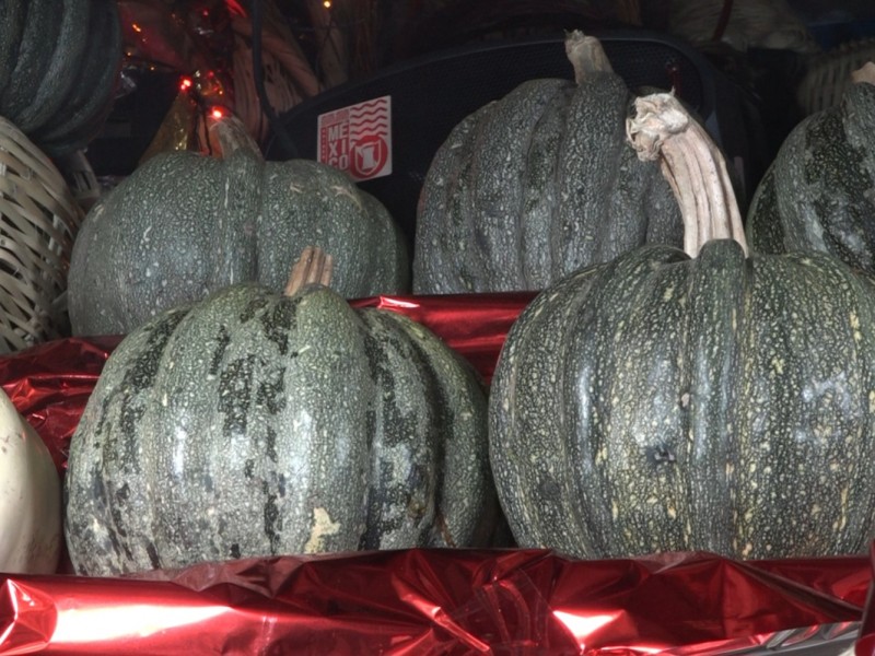 70% de calabazas, para ofrendas son foráneas, 