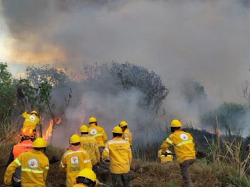 7229 incendios forestales se han registrado en el 2021