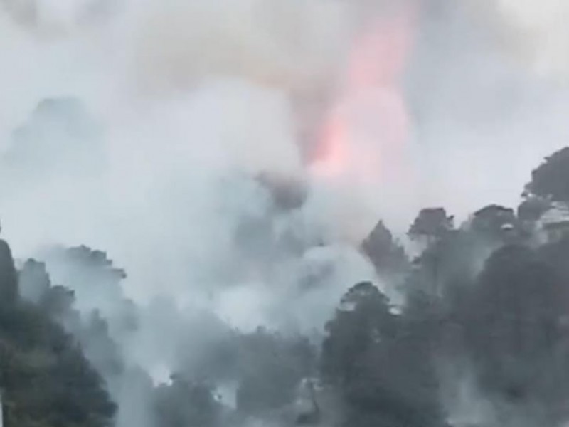 7,611 incendios forestales en 2023, Puebla séptimo lugar