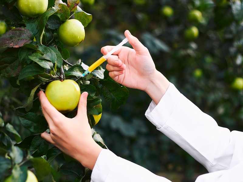 8 de abril, día de oposición a alimentos transgénicos