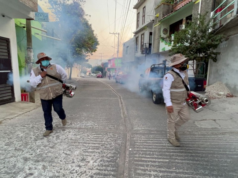 80 colonias fumigadas en Tuxtla contra enfermedades transmitidas por vector