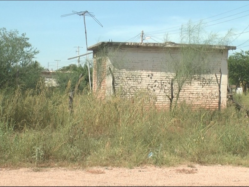 80% de los lotes baldíos se encuentran entre la maleza