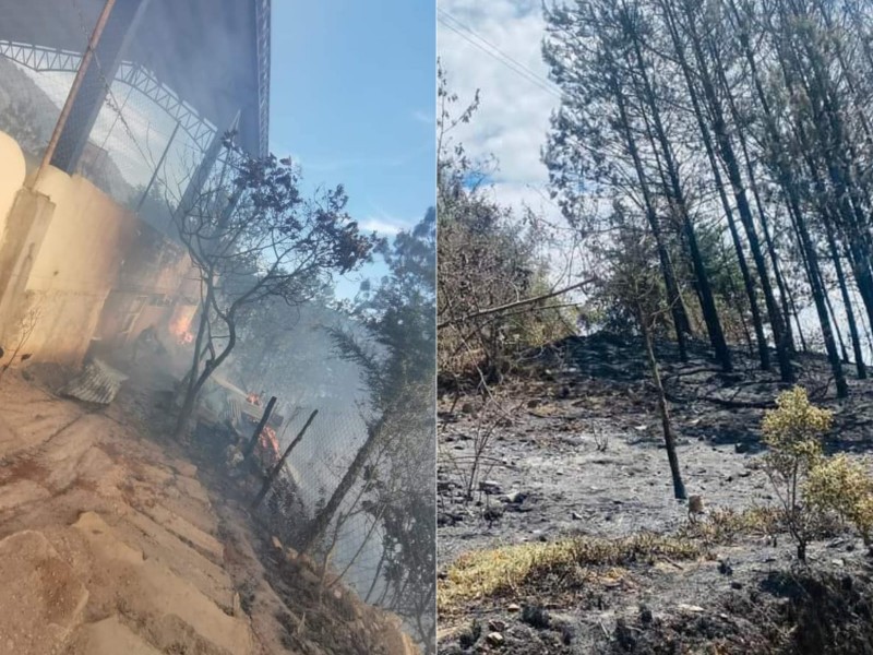 80 hectáreas, 15 viviendas afectadas saldo de incendio en Coyomeapan