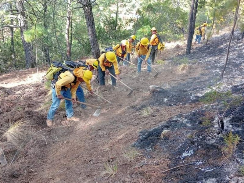 80 incendios en 2024, Vicente Guerrero sofocado totalmente