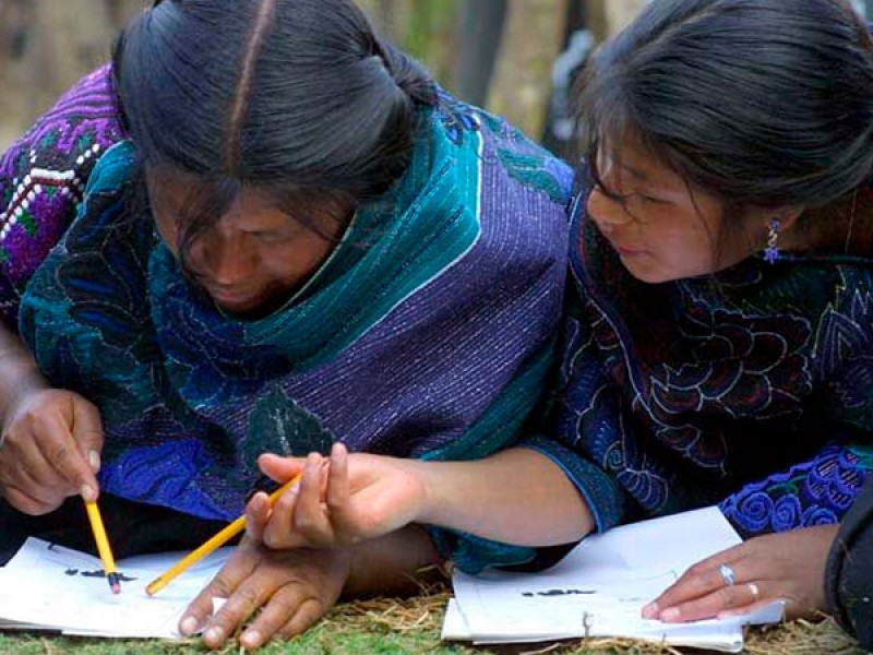 80 por ciento de las mujeres indígenas son analfabetas