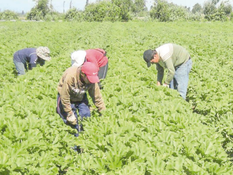 9 de septiembre, día mundial de la agricultura