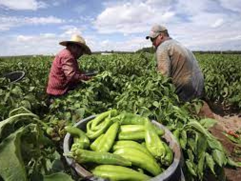 9 de septiembre, día mundial de la agricultura