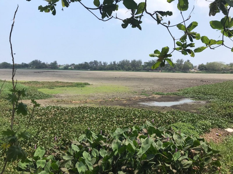 9 lagunas de Veracruz se secaron completamente este año
