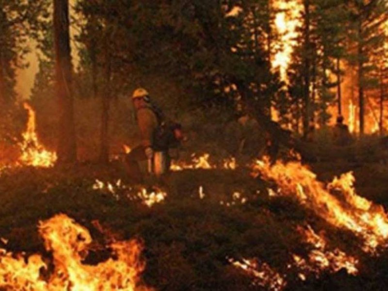 9 regiones de Chiapas con probabilidad de incendios