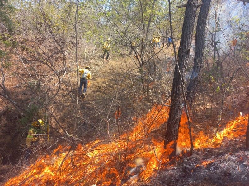 90 incendios forestales en Oaxaca; dos por fenómenos naturales: COESFO