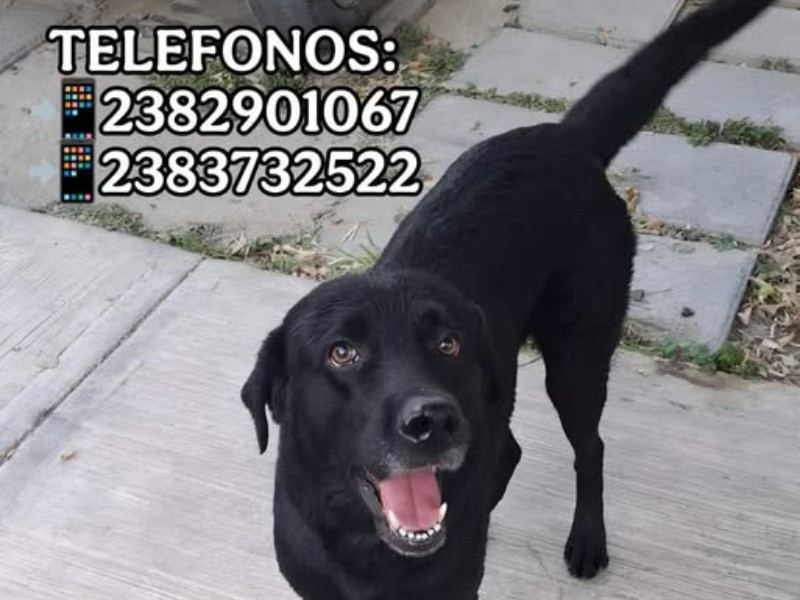 A 8 días de su robo familia sigue buscando a 