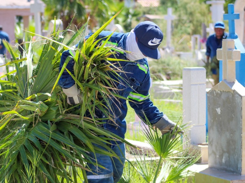 A buen ritmo avanzan trabajos de limpieza en panteones municipales