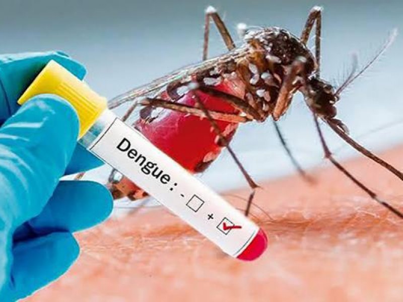 A la baja casos de dengue en Chiapas durante 2020
