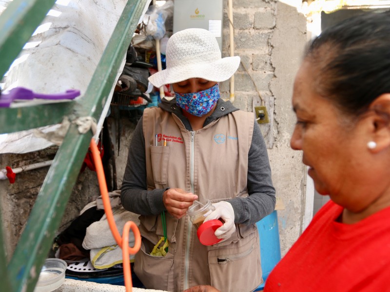 A la baja casos sospechosos de Dengue en Ahome