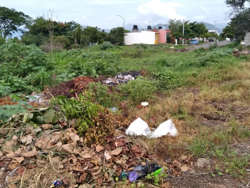 A la gente le vale grillo, viene y tira basura