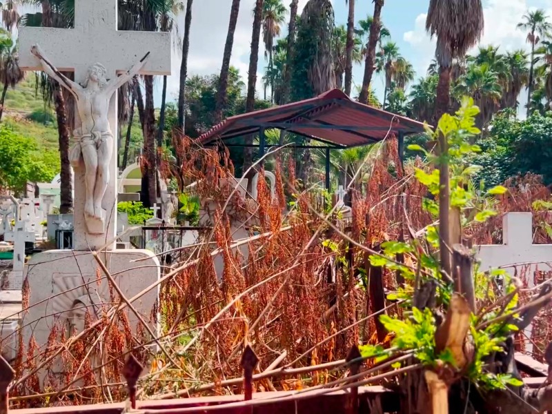 A marchas forzadas trabajos de limpieza en panteón municipal A marchas forzadas trabajos de limpieza en panteón municipal