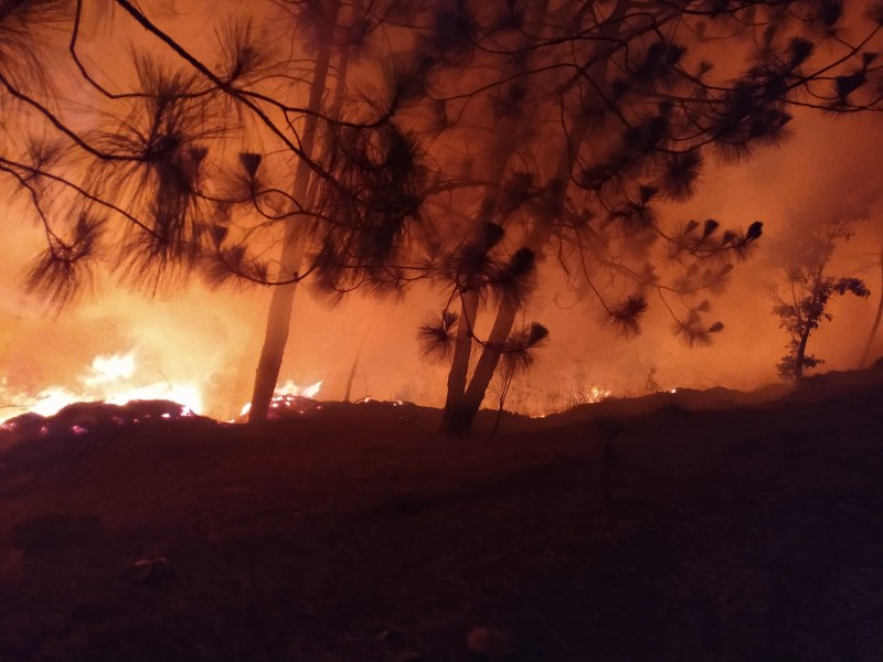 A pesar de prohibición persisten incendios forestales