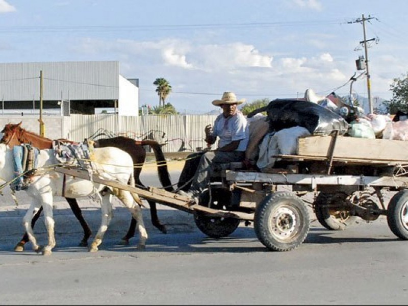 ¡A regularizar los carromateros!