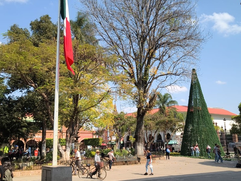 A un mes de Navidad, Zamora se prepara