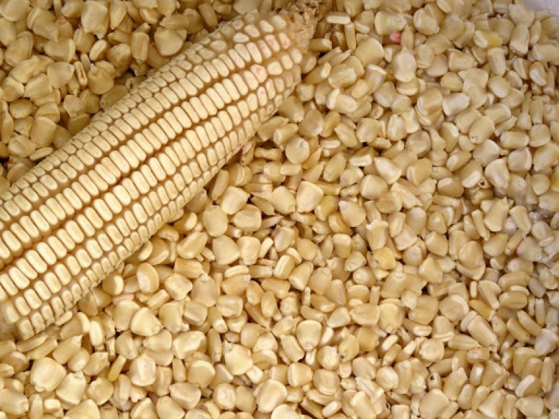 AARFS se suma a demanda de dumping del maíz