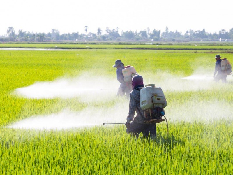 AARSP ve positivo aplazo en prohibición en uso de glifosato