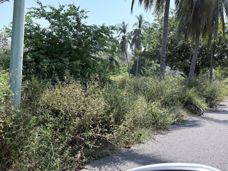 Abandonado por CEASII el camellón Playa Linda-Trailer Park