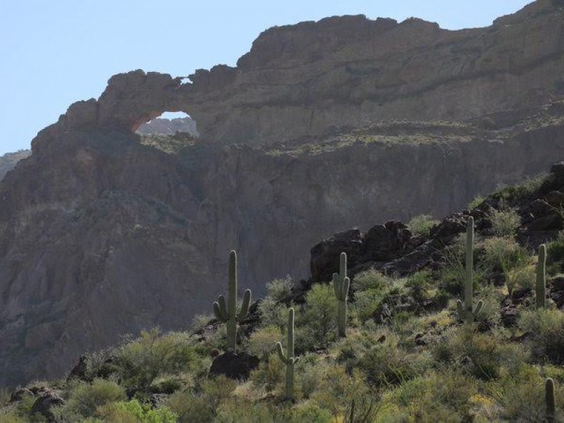 Abandonan a dos bebes en desierto de Arizona