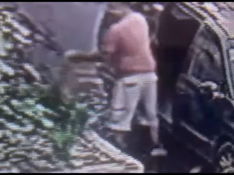 Abandonan a perro en jardinera de Xalapa