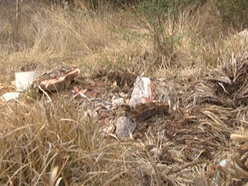 Abandonan a recién nacida en lote baldío