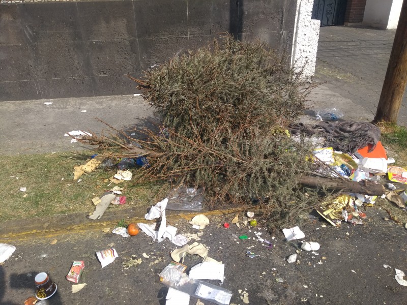 Abandonan árboles de navidad secos en vía pública