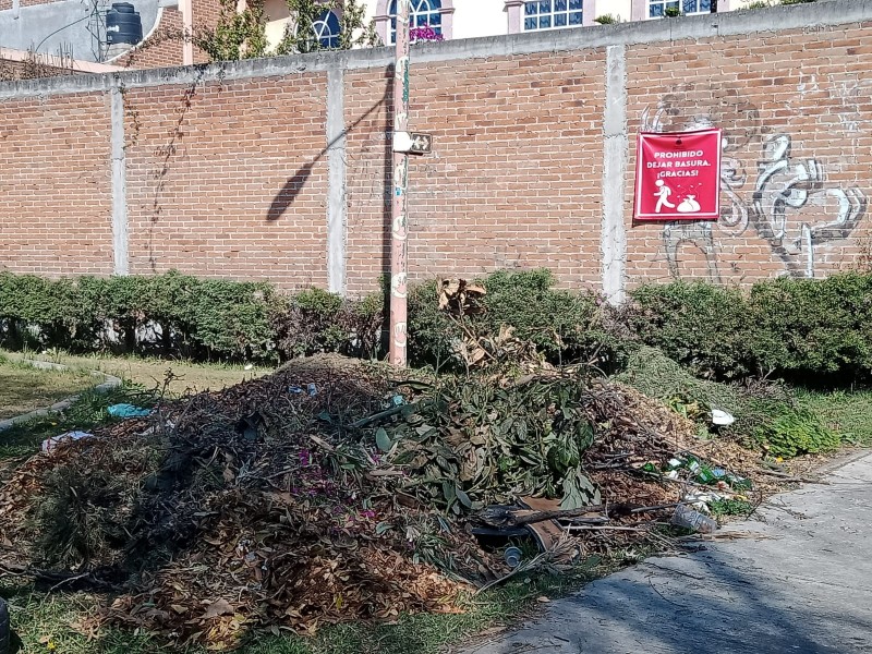 Abandonan basura en parque de Toluca