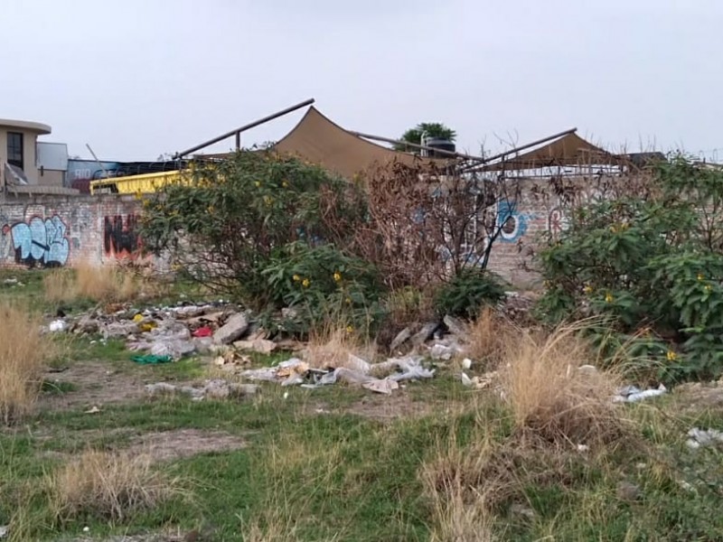 Abandonan basura en terrenos baldíos de av. división del norte