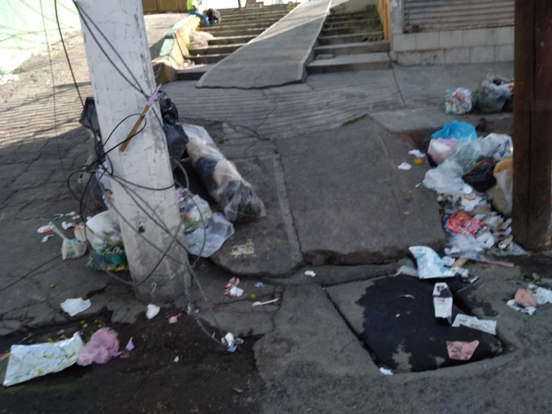 Abandonan bolsas de basura en Toluca