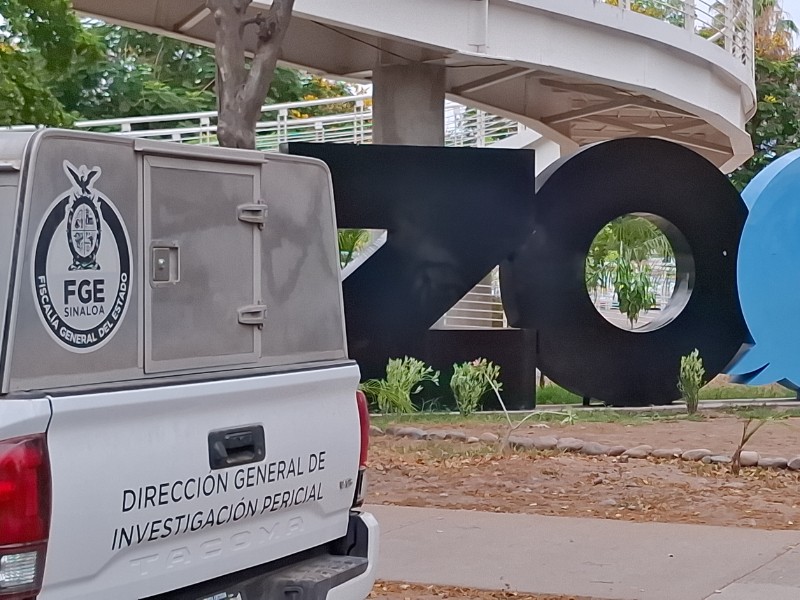 Abandonan cabeza humana frente al Zoológico de Culiacán