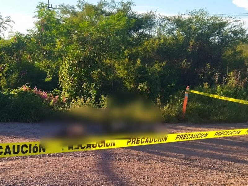 Localizan tres cuerpos torturados y baleados en camino rural de Mocorito
