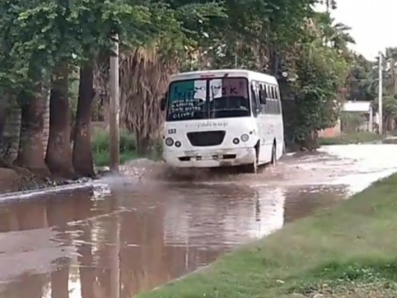 Abandono en calles afecta al transporte público