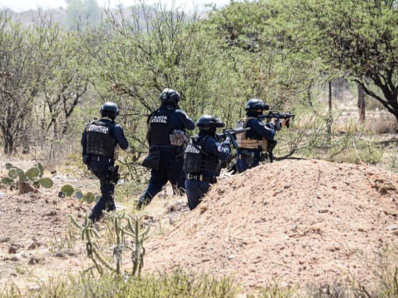 Abaten fuerzas de seguridad a 2 criminales en Pinos
