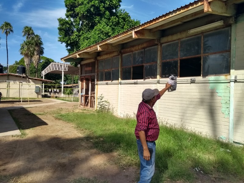 Abejas atacan escuela rural