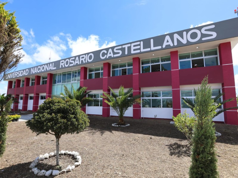 Abierta convocatoria para inscribirse a Universidad Nacional Rosario Castellanos