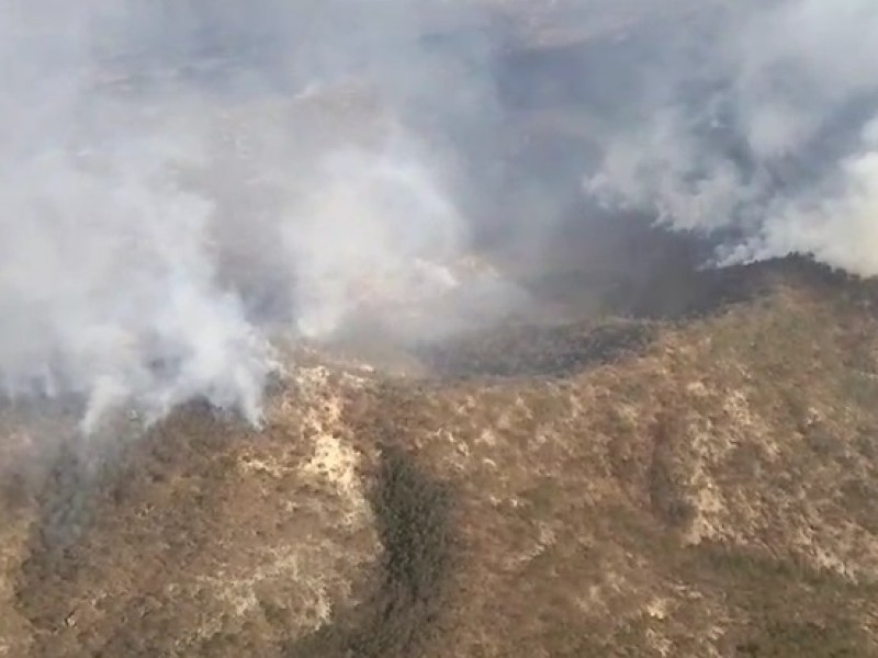 Abren brechas para contener incendio en Santa Rosa