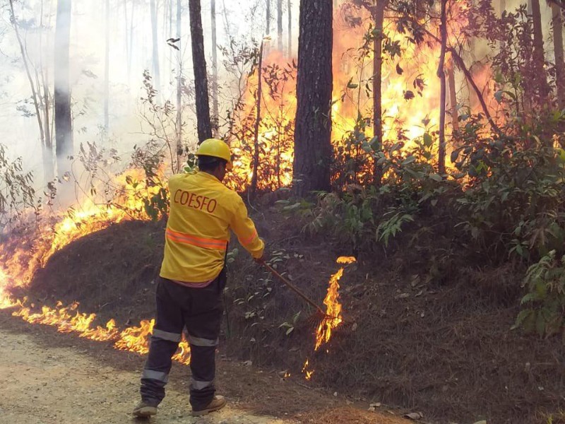Abril, mes con mayor presencia de incendios forestales: Coesfo
