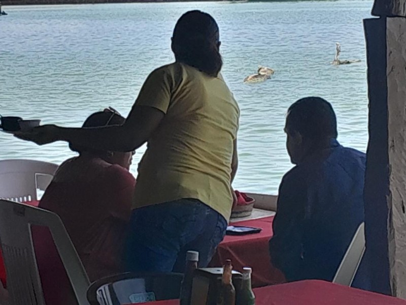 Abrirán empleos temporales en restaurantes de Tuxpan